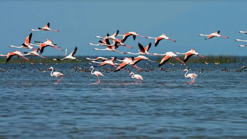 chilaka lake travel guide