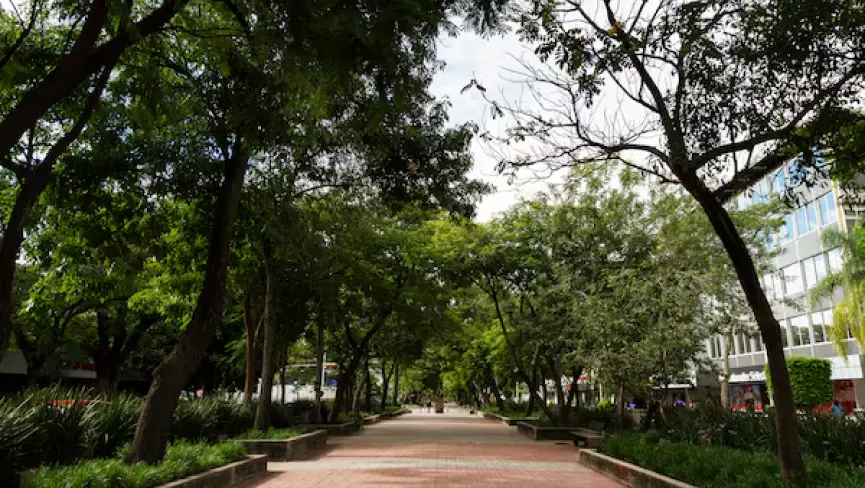 kartik masam vanabhojan spots near hyderabad