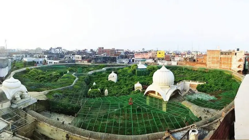 Seva Kunj and Nidhivan