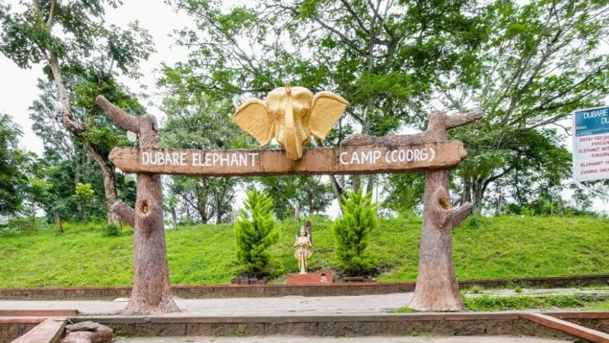 Dubare elephant camp
