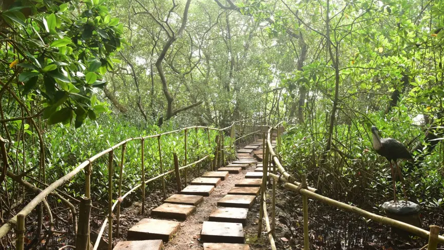 salim ali bird sanctuary