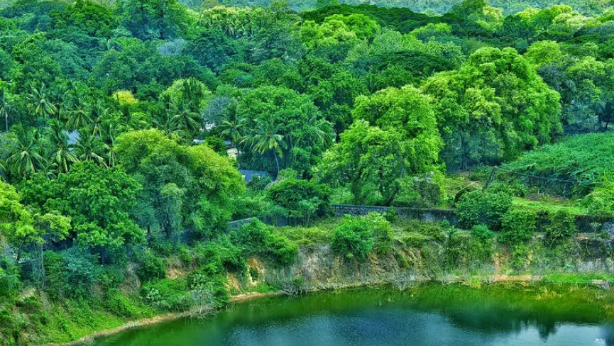 Guindy National Park