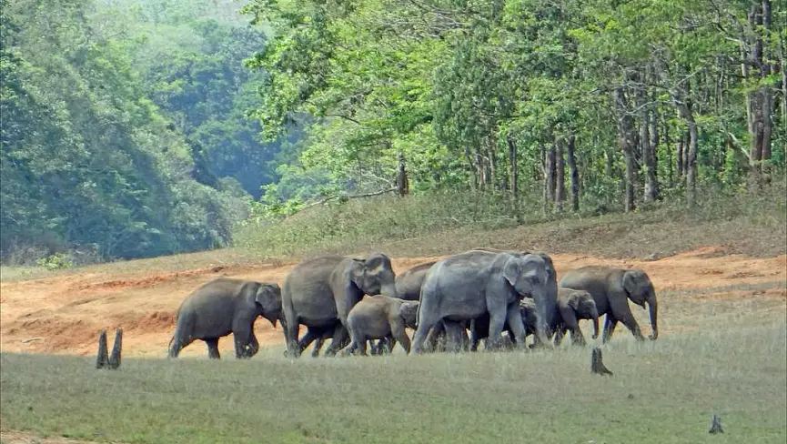 Spring Valley Mountain and Elephant Camp