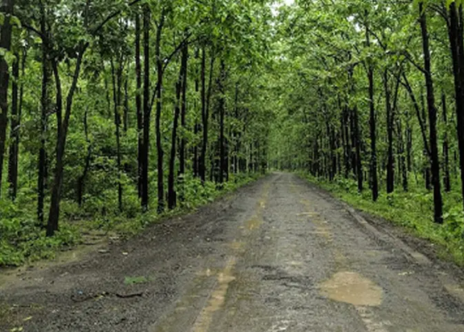 Purna Wildlife Sanctuary