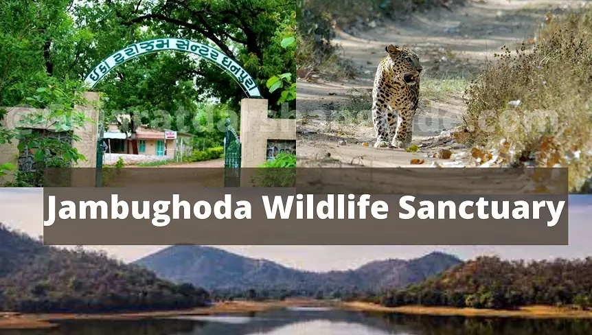 Jambughoda Wildlife Sanctuary