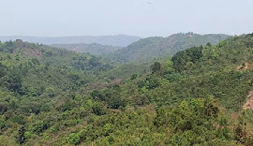 Nokrek National Park