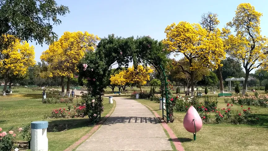 Zakir Hussain Rose Garden