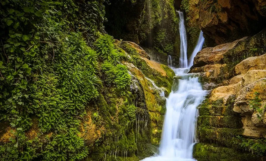 Paglajhora Falls Kurseong