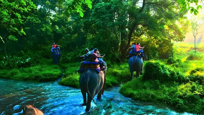 Dooars Adventure Activities