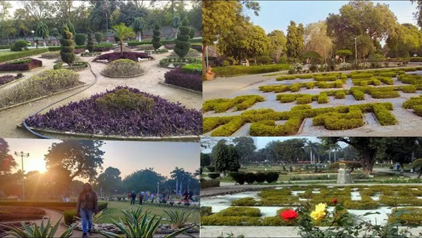 Rose garden Bathinda