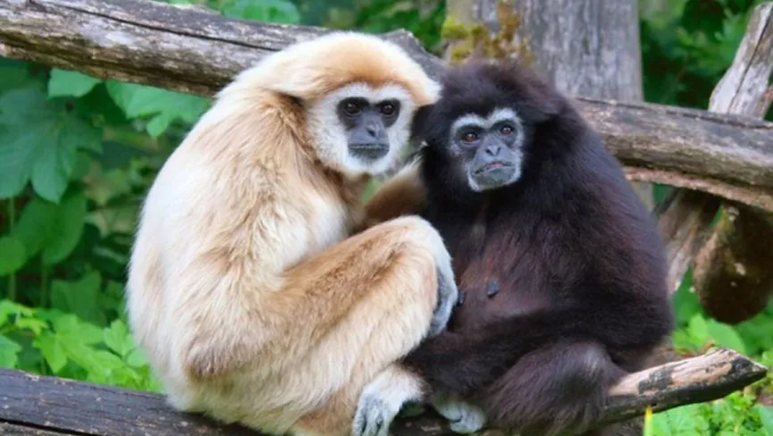 Intanki National Park