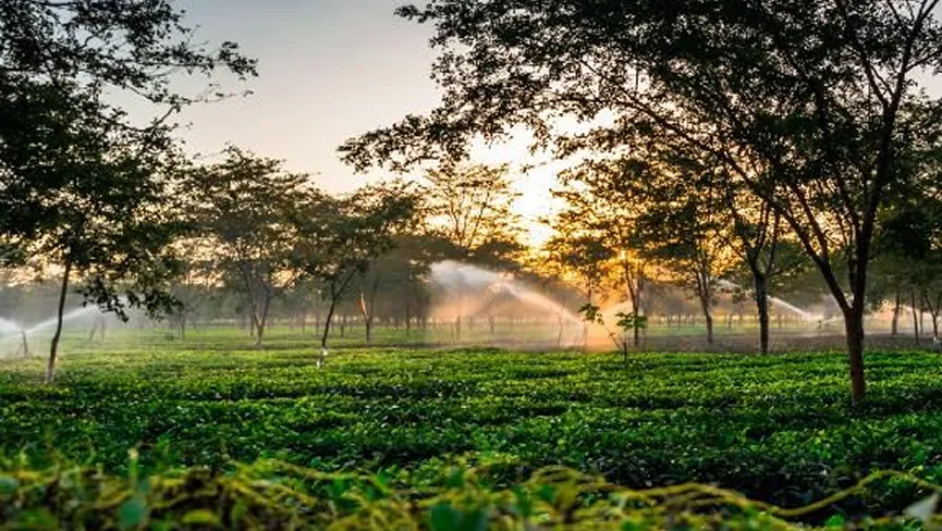 Jokai Botanical Garden