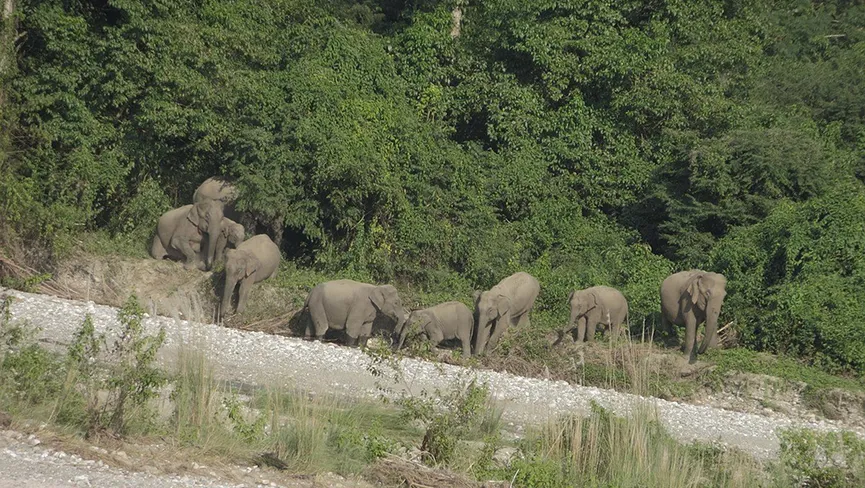 Kachugaon Game Reserve