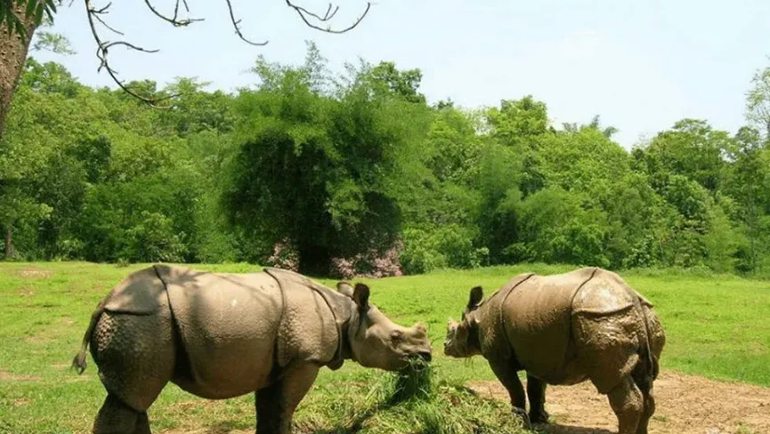 Nambor Wildlife Sanctuary