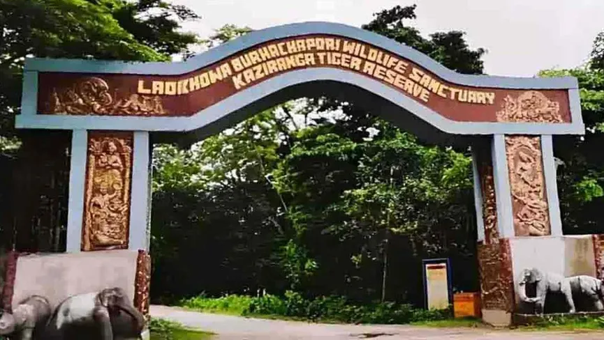 Laokhowa Wildlife Sanctuary