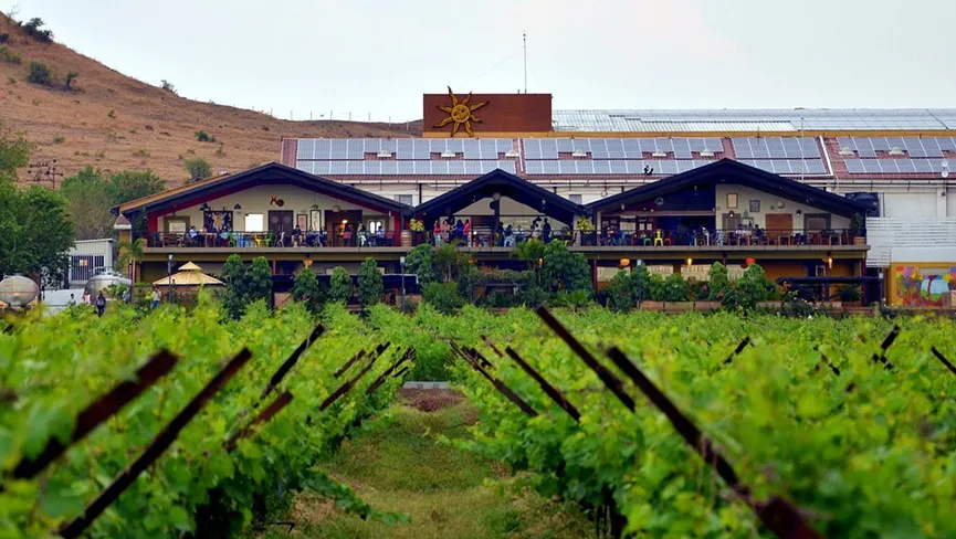 Sula Vineyards