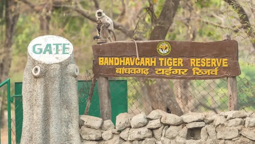 Bandhavgarh National Park