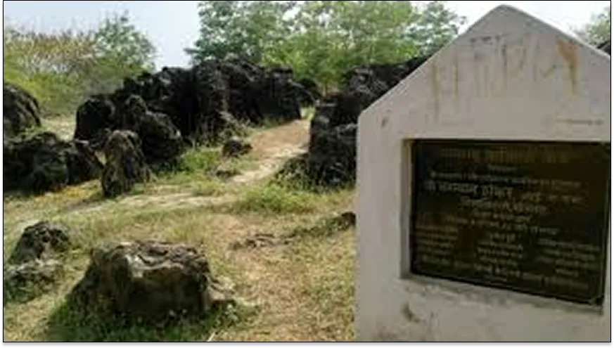 Sonbhadra Fossils Park